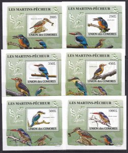 Comores 2009 Birds 6 S/Sheets Deluxe Edition MNH