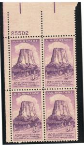 1084: Devils Tower - Plate Block - MNH - 25502-UL