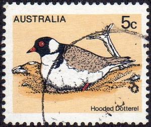 Australia 682 - Used - 5c ‭Hooded Dotterel  (1978) (1)