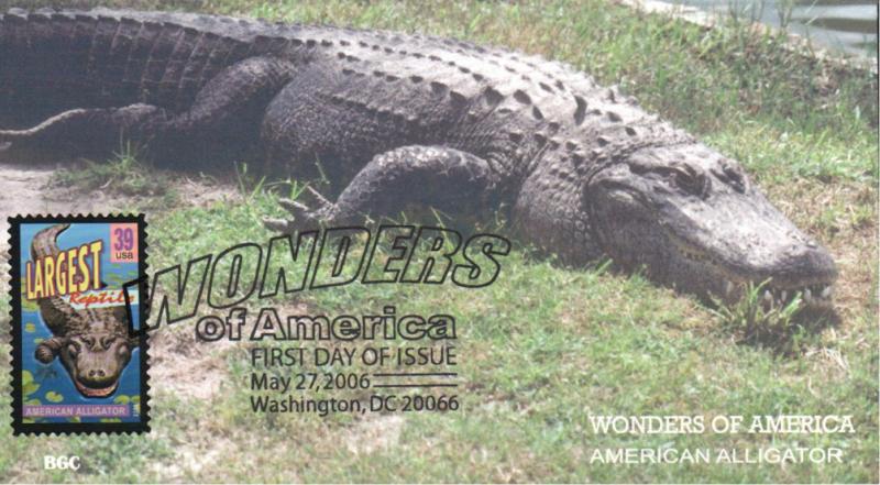 #4033 American Alligator BGC FDC