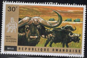 RWANDA Scott 445 Unused 1972 wildlife stamp