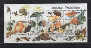 Romania #3936 (1994 Mushroom sheet) VFMNH CV $2.00