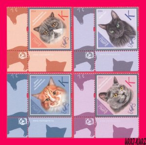 TRANSNISTRIA 2024 Nature Fauna Farm Domestic Animals Pets Cats 4v MNH