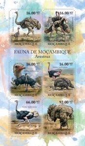 [250 41]- YEAR 2011 - MOZAMBIQUE  - OSTRICH       6V   complet set  MNH/**