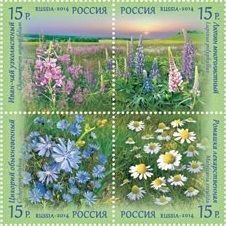 Russia 2014 Wildflowers set of 4 stamps in block 2x2 MNH