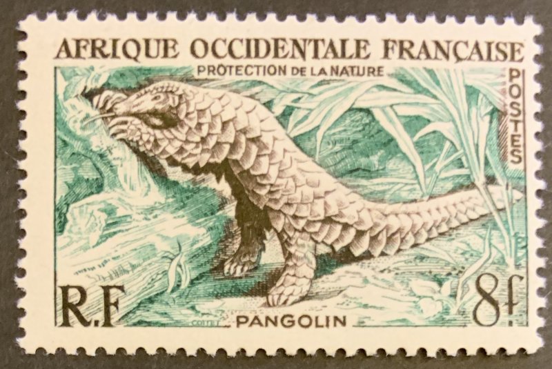 French West Africa 1955 #63 MNH. Pangolin