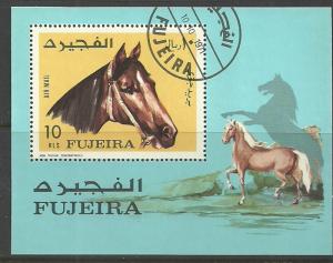 SHH UAE Fujeira  -  lot # 85  Used  Horses  MS