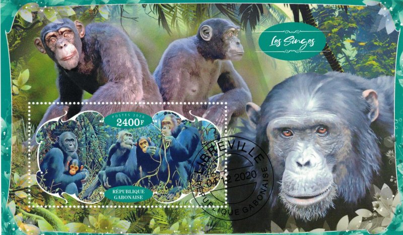 GABON 2020 - Fauna (16 scans)