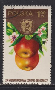 Poland 2051 Apple 1974