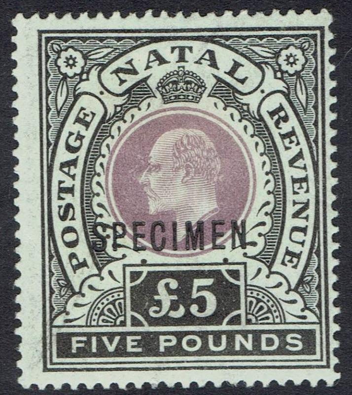 NATAL 1902 KEVII SPECIMEN 5 POUNDS 