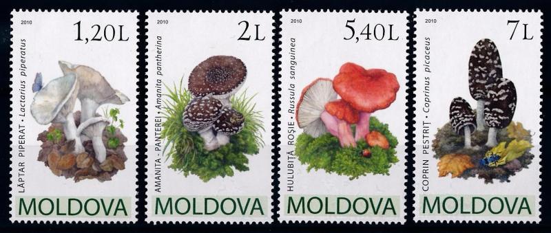 [68913] Moldova 2010 Mushrooms Pilze Champignons  MNH