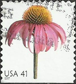 # 4184 USED CONEFLOWER