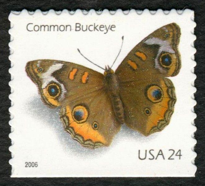 #4000, 4001a, 4002 24c Common Buckeye, Mint **ANY 4=FREE SHIPPING**