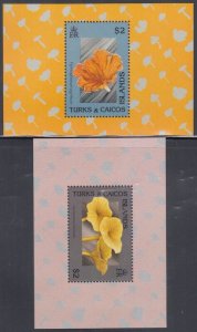 TURKS & CAICOS ISLANDS Sc # 931-2 CPL MNH SET of 2 DIFF S/S - MUSHROOMS