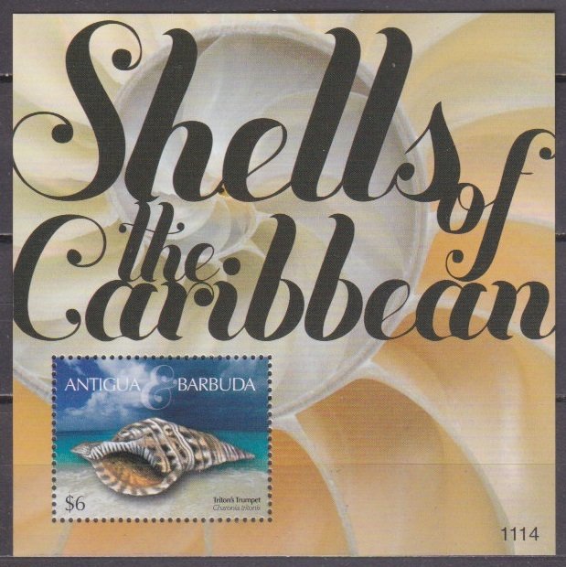 2011 Antigua & Barbuda 4922/B683 Sea shells​​​​​​​