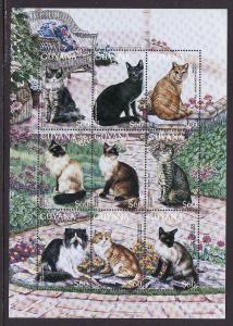 Guyana-Sc#3103-unused NH sheet-Domestic Cats-1996-