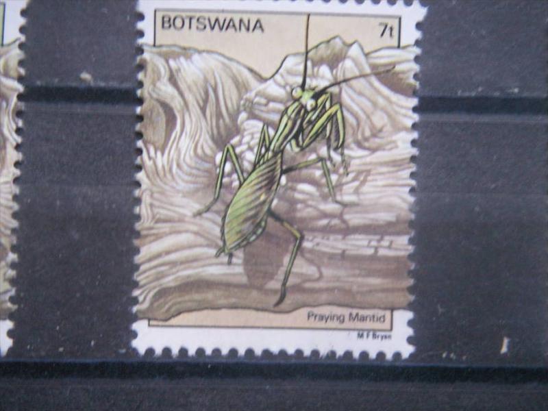 BOTSWANA, 1981, MNH 7t, Praying mantis, Scott 269