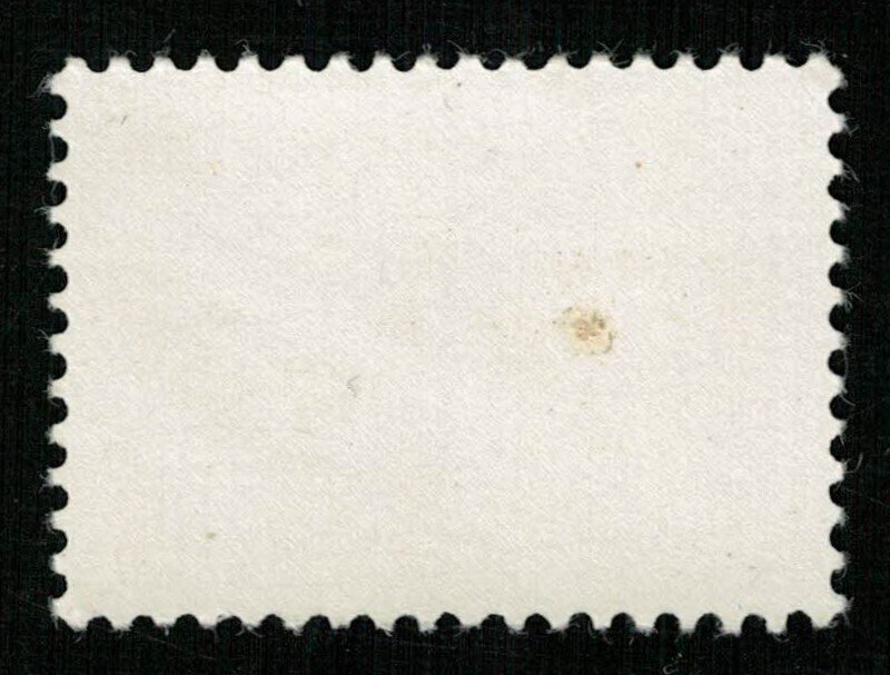 Moldova 1992 Airmail 2.50R (TS-196)