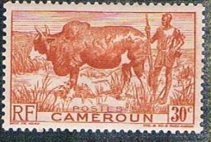 Cameroun 305 MLH Zebu and herder (BP5424)