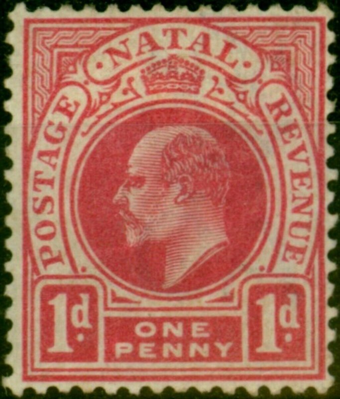 Natal 1902 1d Carmine SG128 Fine MM 