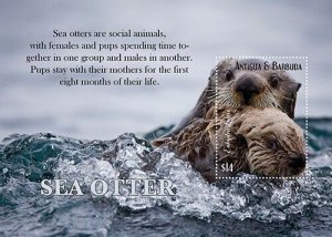 Antigua 2020 - Sea Otter Marine Life - Souvenir Stamp Sheet - Scott #3596 - MNH