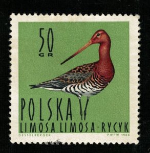 Bird 1964 50Gr (TS-720)