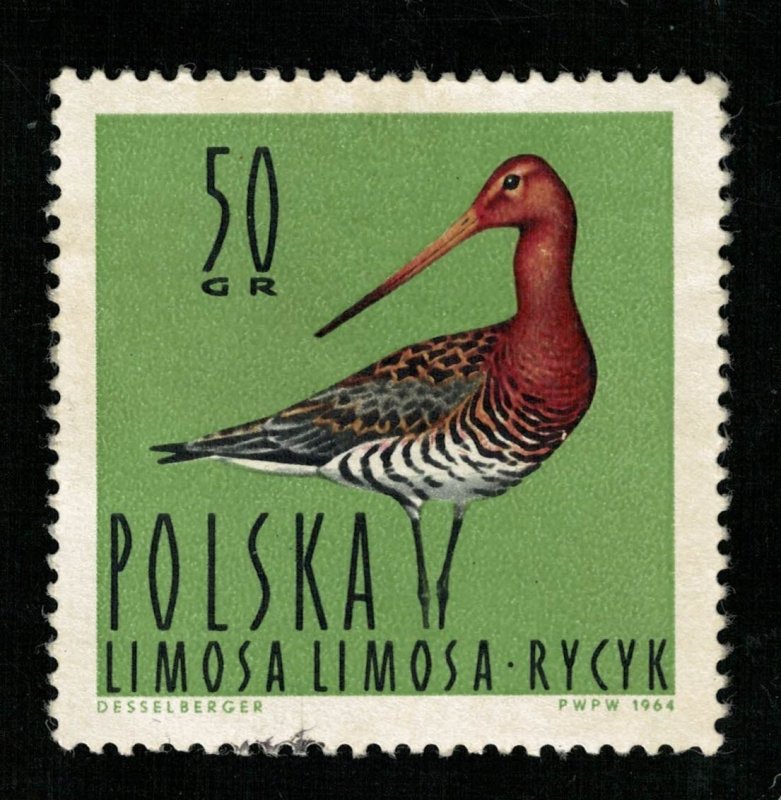 Bird 1964 50Gr (TS-720)