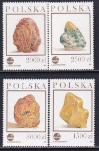 Poland 1993 Sc 3136-9 Amber Stamp MNH