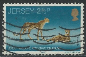 Jersey 1972 - 2½p Wildlife Preservation Trust (Cheetah) - SG73 used
