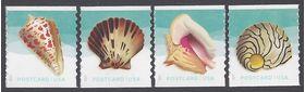 #5167-5170 (34c Forever) Seashells Set of 4 Coil Singles 2017 Mint NH