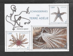 FRENCH SOUTHERN ANTARCTIC TERRITORY #589 ECHINODERMS S/S MNH