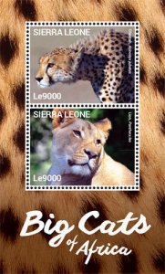 Sierra Leone 2015 - Big Cats of Africa Stamp - Souvenir Sheet - MNH