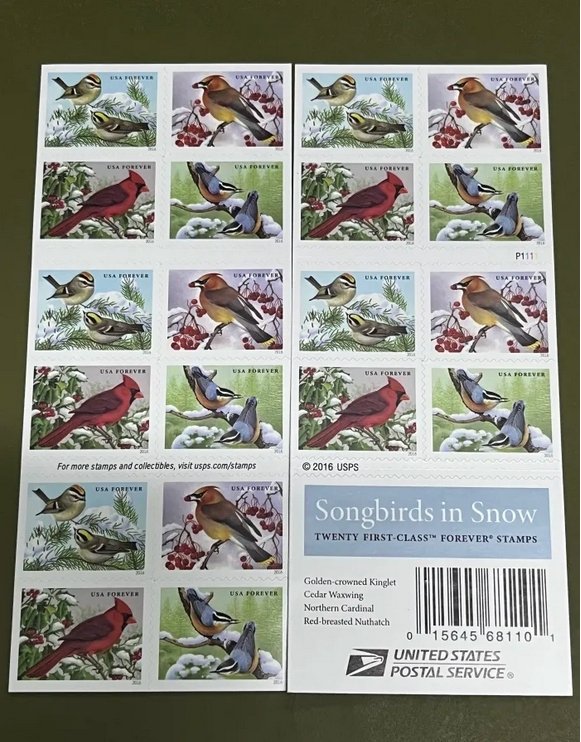 Songbirds in Snow 5 Books of 20pcs total 100 pcs