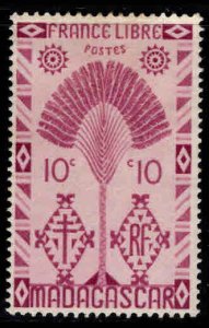 Madagascar Malagasy Scott 242 MH* Traveler's Palm tree 1943