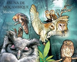 Mozambique 2011 MNH - Owls. Y&T 445, Mi 4916/Bl.504, Scott 2396