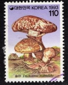 Korea - #1699 Mushrooms - Used