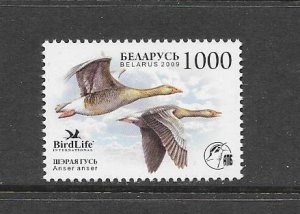 BIRDS - BELARUS #691   MNH