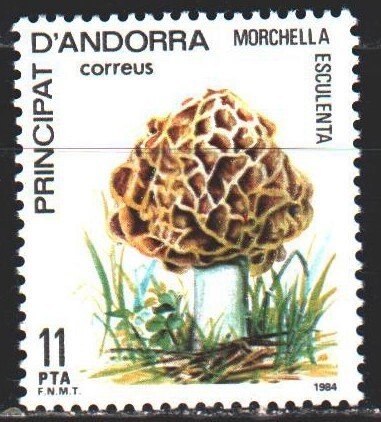 Andorra. 1984. 178. Mushrooms. MLH.