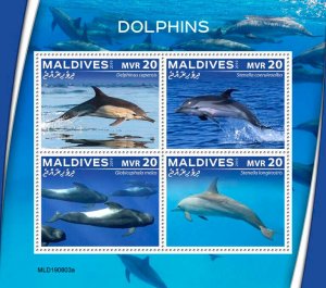 Maldives 2019 MNH Marine Animals Stamps Dolphins Long-Beaked Dolphin 4v M/S