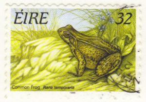 Ireland #982E used 32p frog