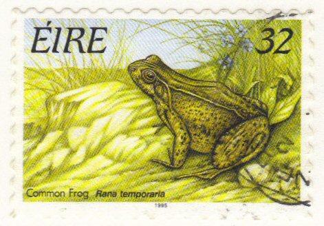 Ireland #982E used 32p frog