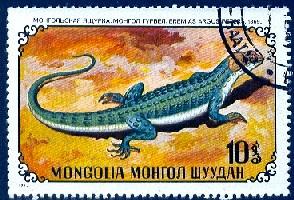 Slow Lizard, Mongolia stamp SC#676 ussed