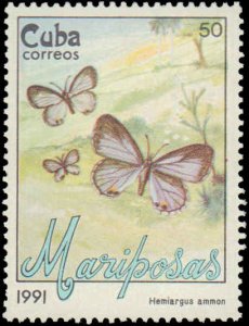 Cuba #3287-3292, Complete Set(6), 1991, Butterflies, Never Hinged