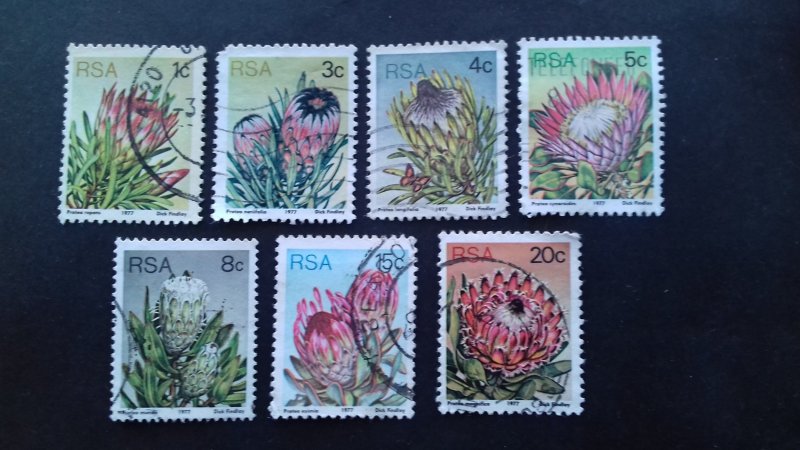 South Africa 1977 Flora - Protea Plants Used