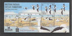 BIRDS - BRITISH INDIAN OCEAN TERRITORY #238 S/S  MNH