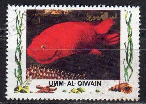 Umm al Qiwain (Unlisted) - CTO - Large Goldfish