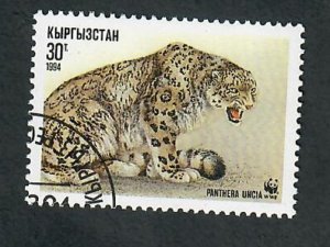 Kyrgyzstan #31 Leopard used single