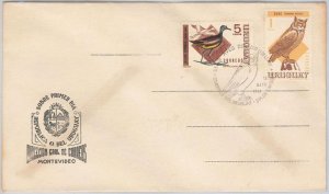 43043  - URUGUAY - POSTAL HISTORY - FDC COVER - BIRDS 1968