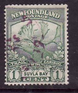 Newfoundland-Sc#115-id10-1c green  Caribou-Suvla Bay-1919-