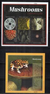 Micronesia 381-384 MNH Mushrooms Fungi Plants Nature ZAYIX 0224M0264